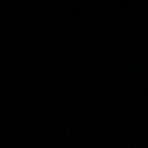 Meet your Posher, Connor